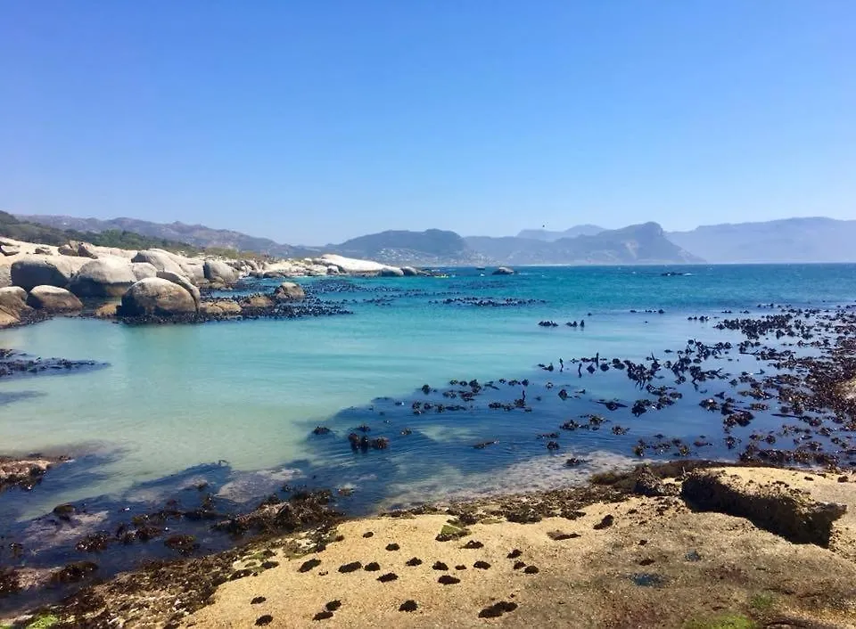 On The Square Luxury Apartment Simonʼs Town アパートホテル